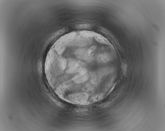X0000111230729200908131122