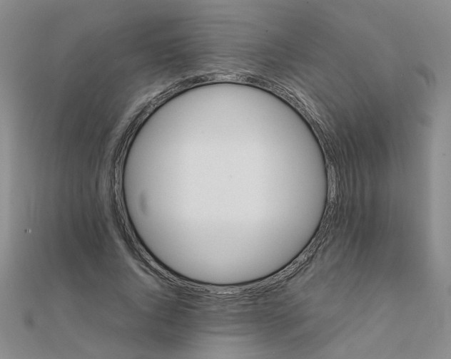 X0000111230736200908131122