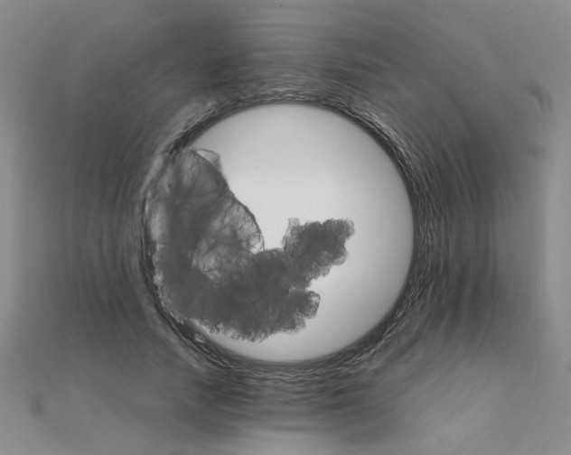 X0000111230738200908131122