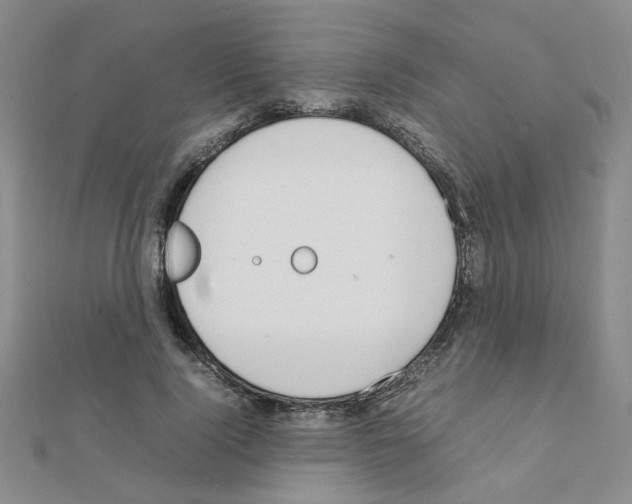 X0000111230740200908131122