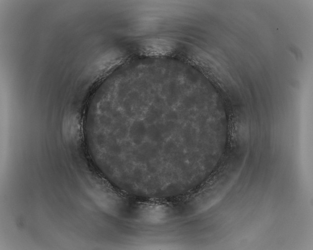 X0000111230743200908131122