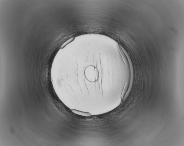 X0000111230744200908131122