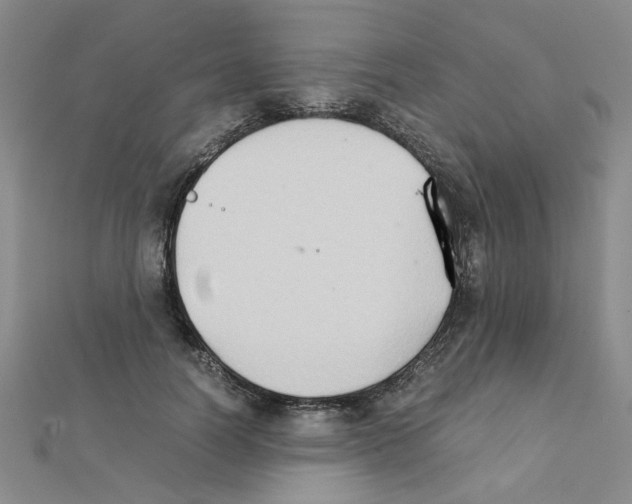 X0000111230746200908131122