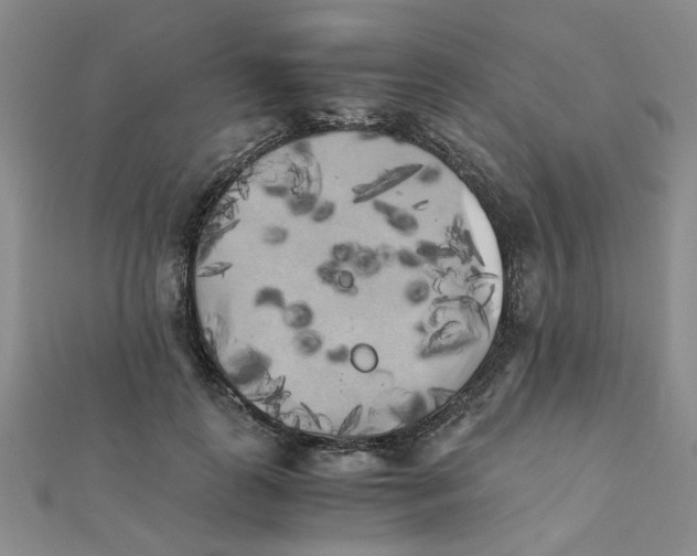 X0000111230747200908131122
