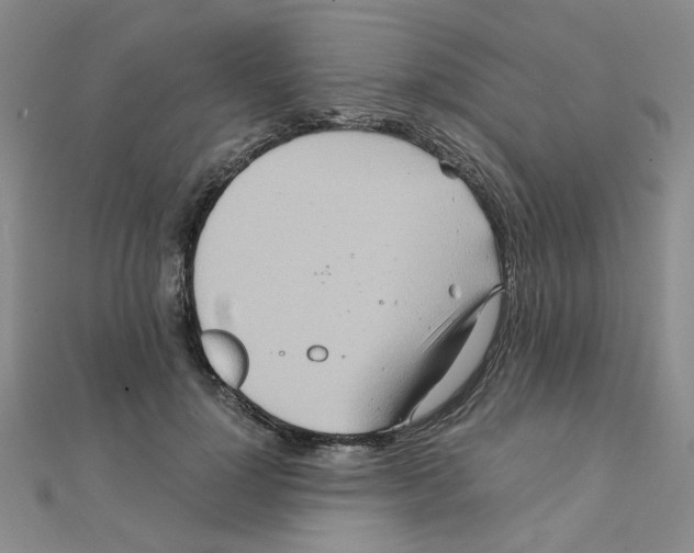 X0000111230748200908131122