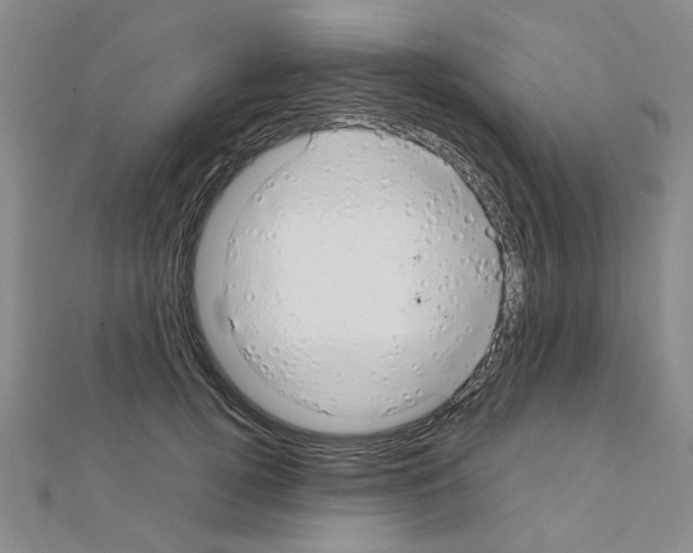 X0000111230752200908131122