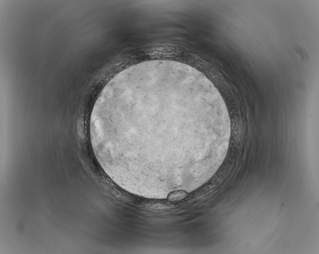X0000111230755200908131122