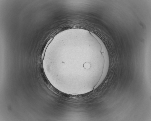 X0000111230756200908131122