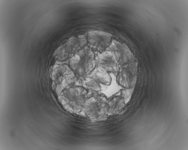 X0000111230757200908131122