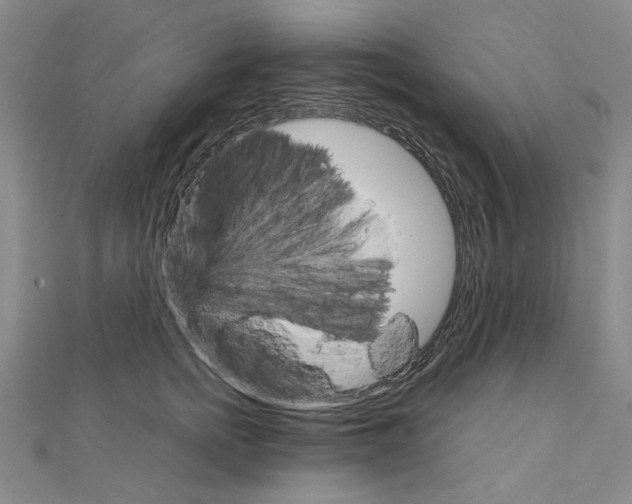 X0000111230758200908131122