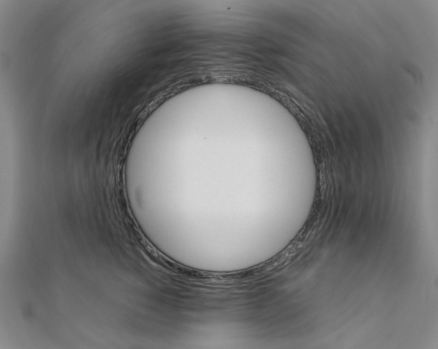X0000111230760200908131122