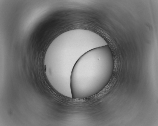 X0000111230762200908131122