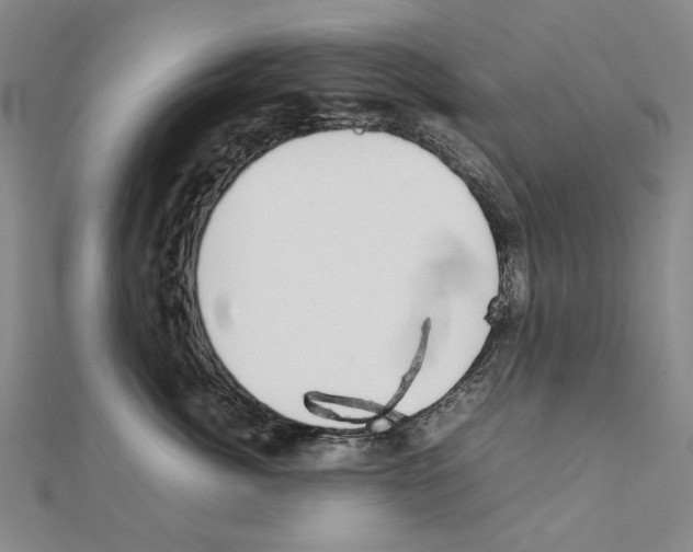 X0000111230764200908131123