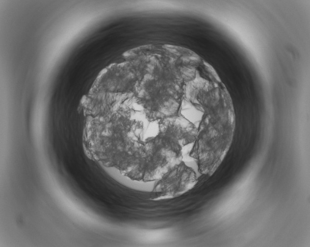 X0000111230765200908131123