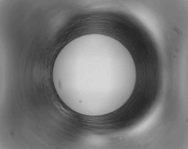 X0000111230766200908131123