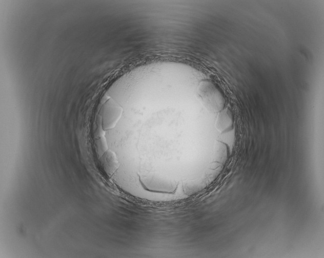 X0000111230769200908131122
