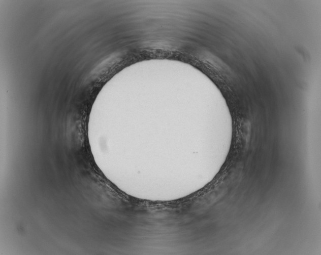 X0000111230774200908131122
