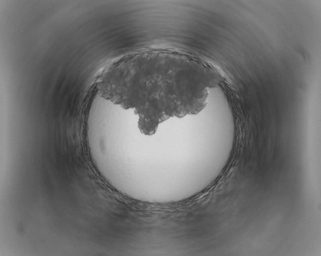 X0000111230776200908131122