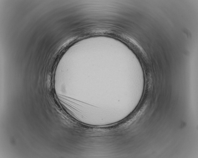 X0000111230777200908131122