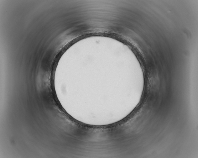 X0000111230778200908131122