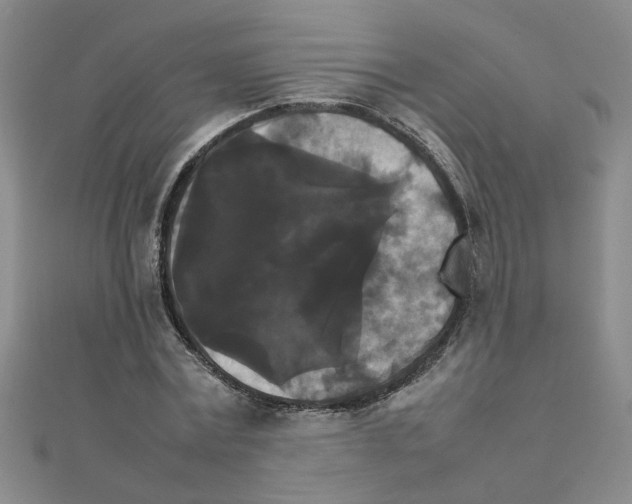 X0000111230779200908131122