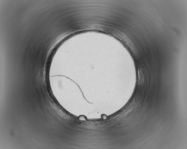 X0000111230780200908131122