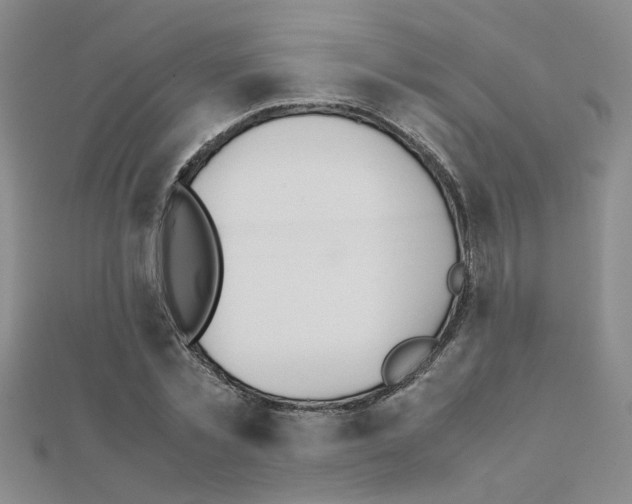 X0000111230781200908131122