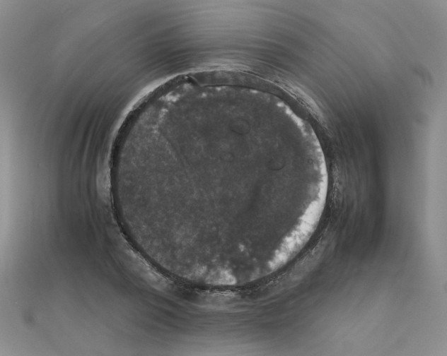 X0000111230784200908131122