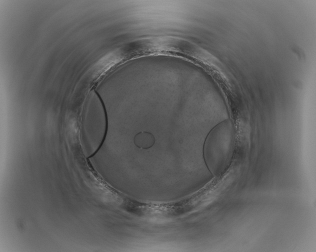 X0000111230785200908131122