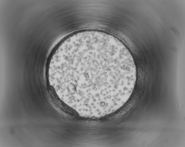 X0000111230788200908131122