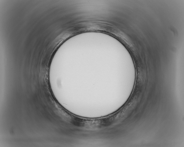 X0000111230793200908131122