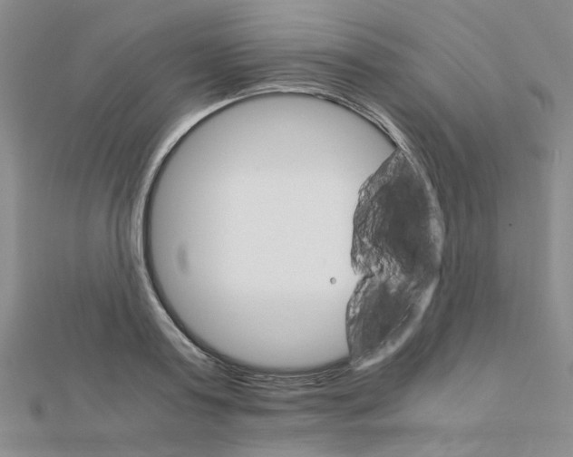 X0000111230795200908131122