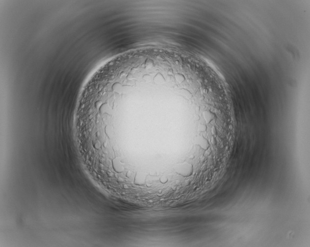 X0000111230796200908131122