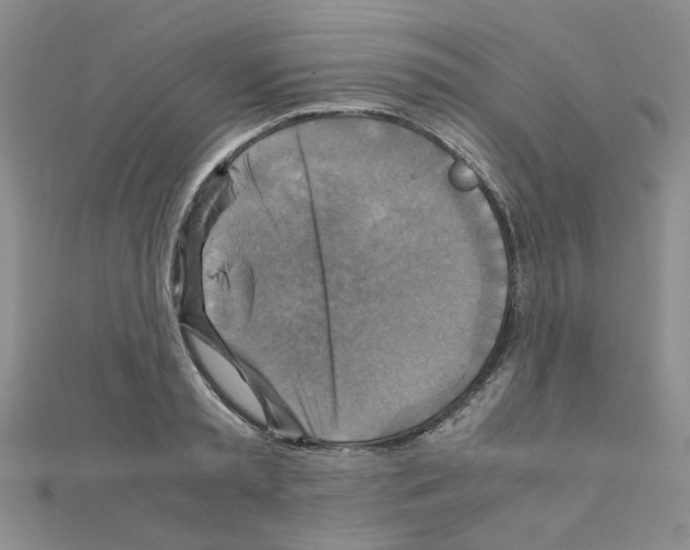 X0000111230797200908131122