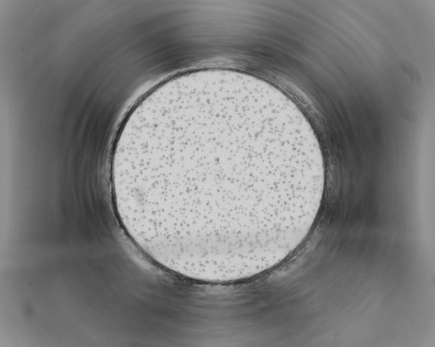 X0000111230800200908131122