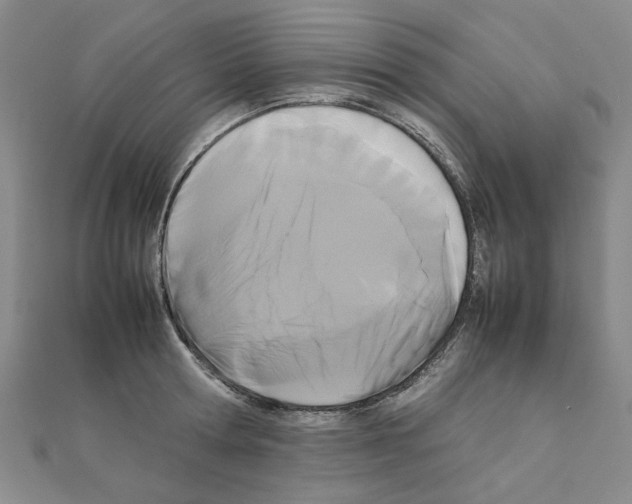 X0000111230802200908131122