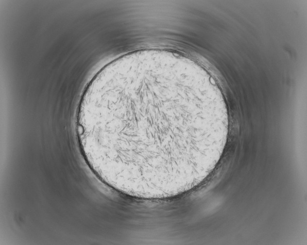 X0000111230803200908131122