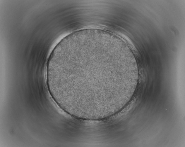 X0000111230804200908131121