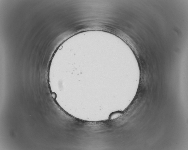 X0000111230805200908131121
