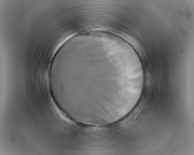 X0000111230806200908131121