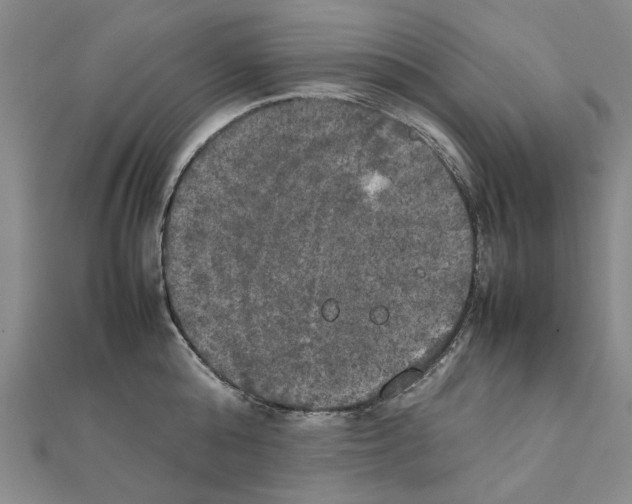 X0000111230808200908131121