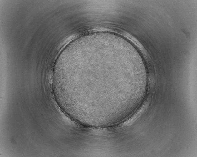 X0000111230809200908131121