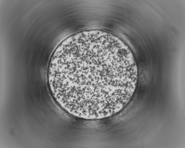 X0000111230810200908131121