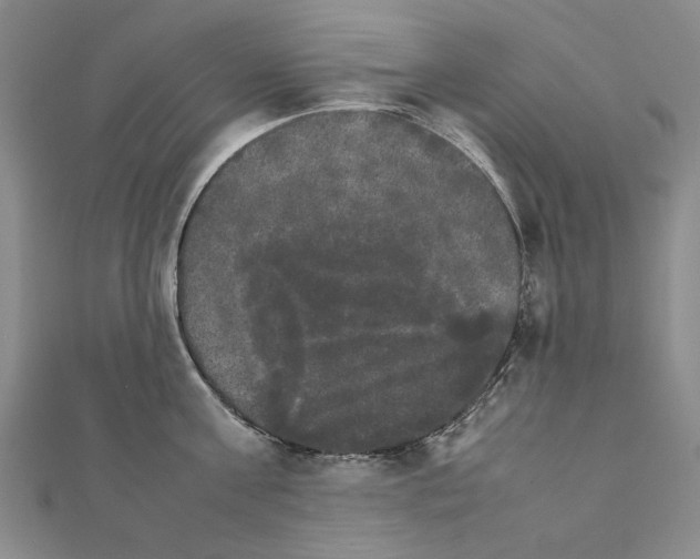 X0000111230811200908131121