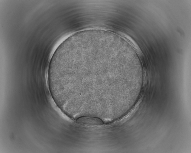 X0000111230812200908131121