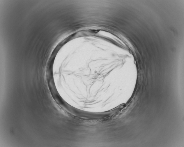 X0000111230813200908131121