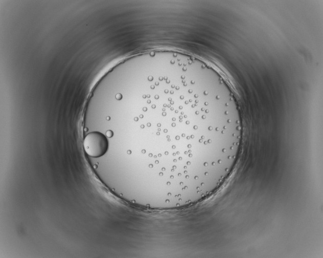 X0000111230814200908131121