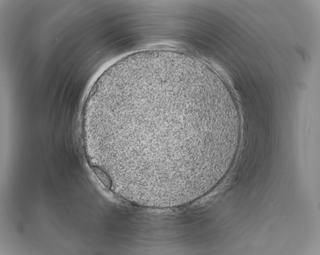X0000111230816200908131121