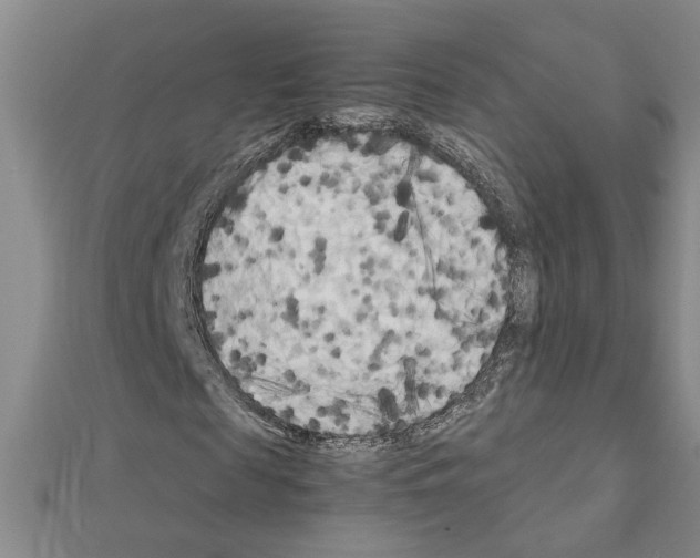 X0000111230817200908131121