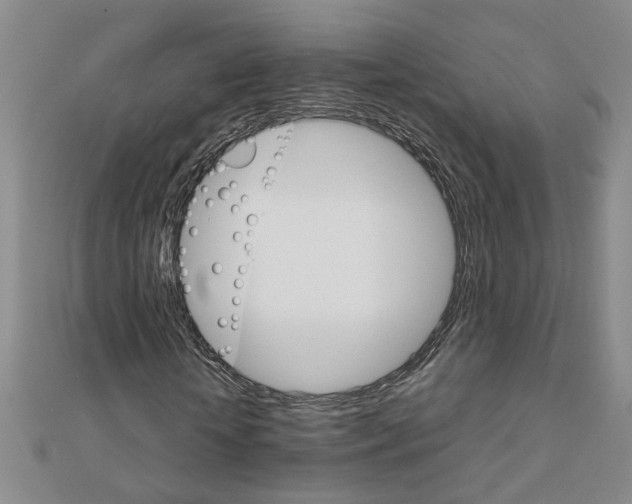 X0000111230818200908131121